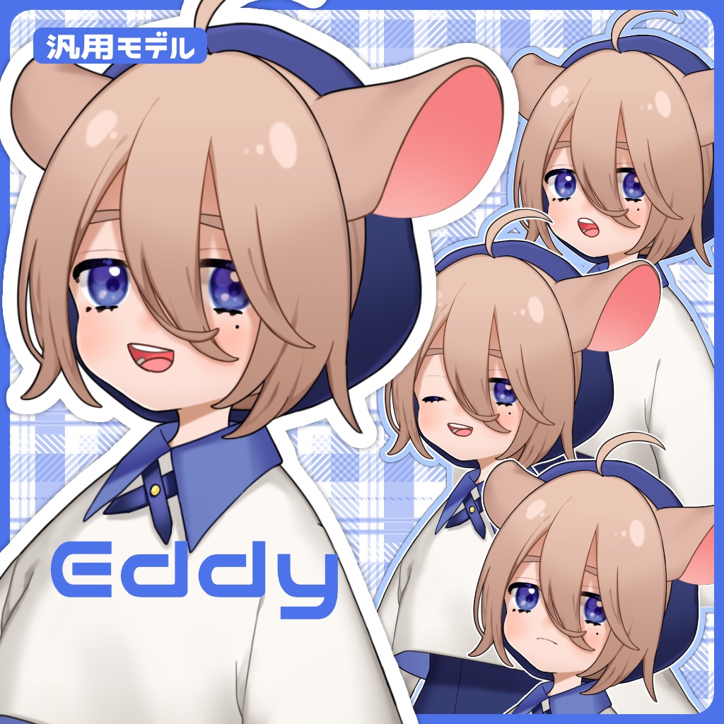 汎用モデル EDDY