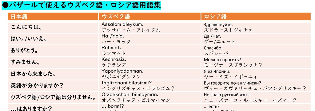 タシケント・サマルカンドバザールガイド 紙+電子版セット