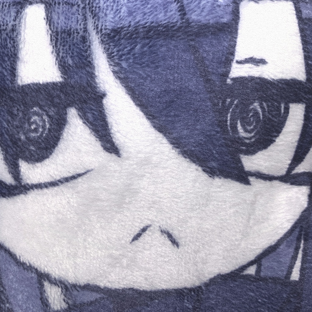 ばうばうふかふか両面クッション