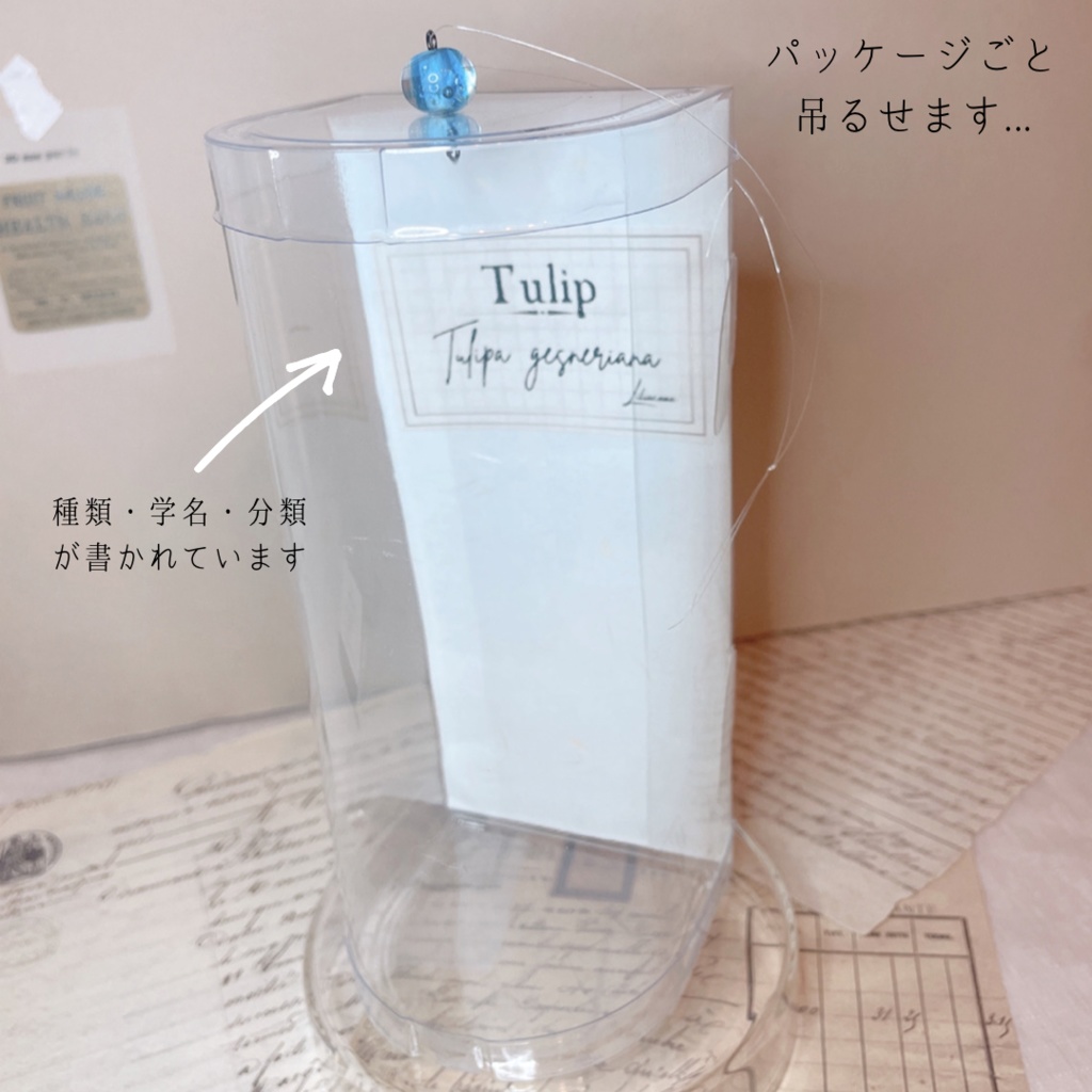 【色が選べる】標本みたいに飾れる儚げチューリップ 透ける花びら(オーガンジー クラフトフラワー)1本 ワイヤーアート