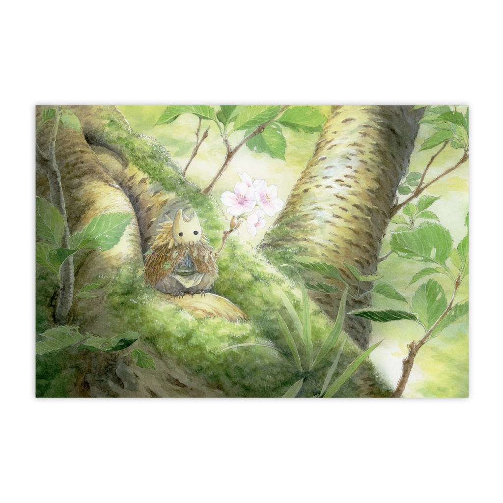 ポストカード「樹幹より望む」