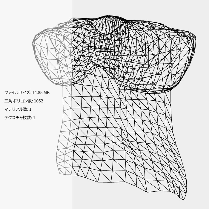 放浪者のマント(FBX / XWear)