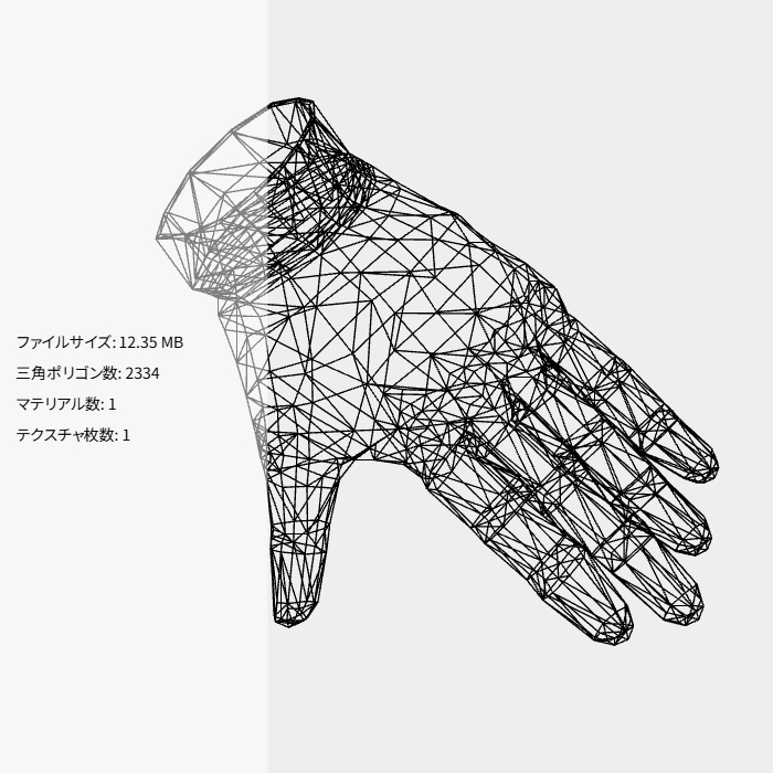 レザーグローブ(FBX / XWear)