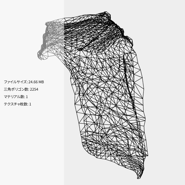 遊撃兵のマント(FBX)