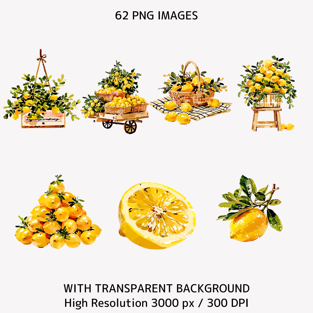 Italian Lemon Garden クリップアートセット(63点 / PNG素材)