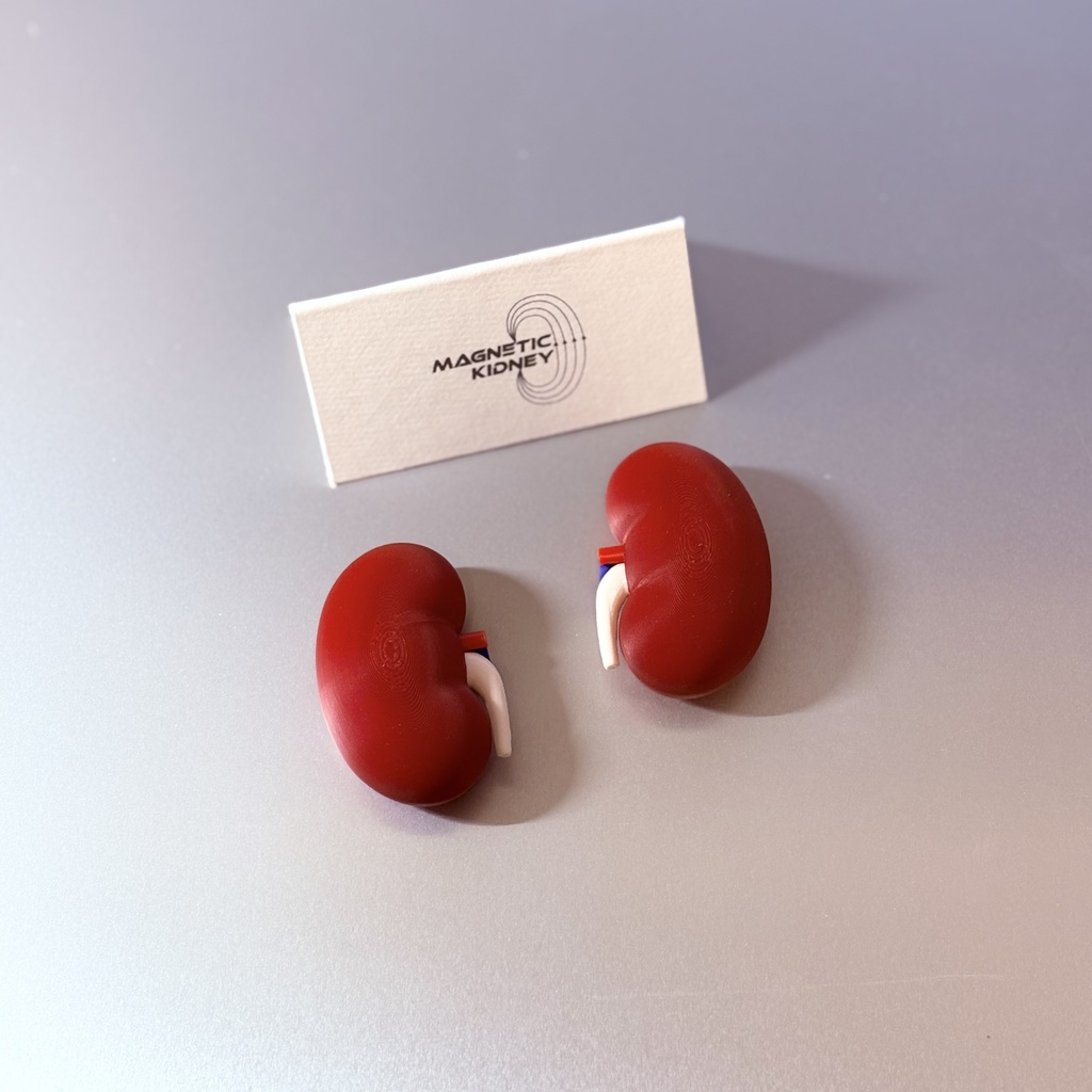 MAGNETIC KIDNEY