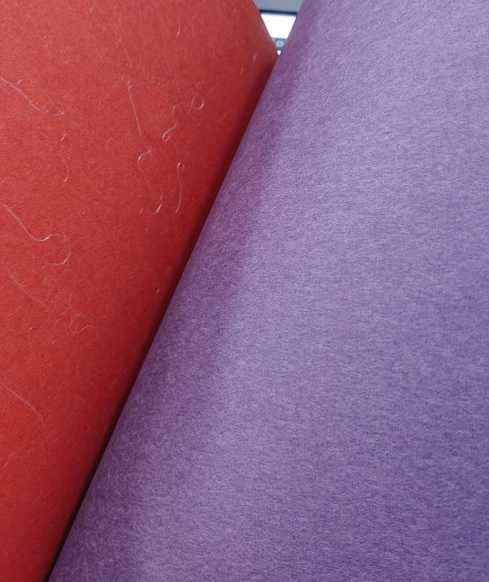 紅葉ニ秋風 明治ノ世ニテ名モ無キ隊士ノ追想ヲ記ス