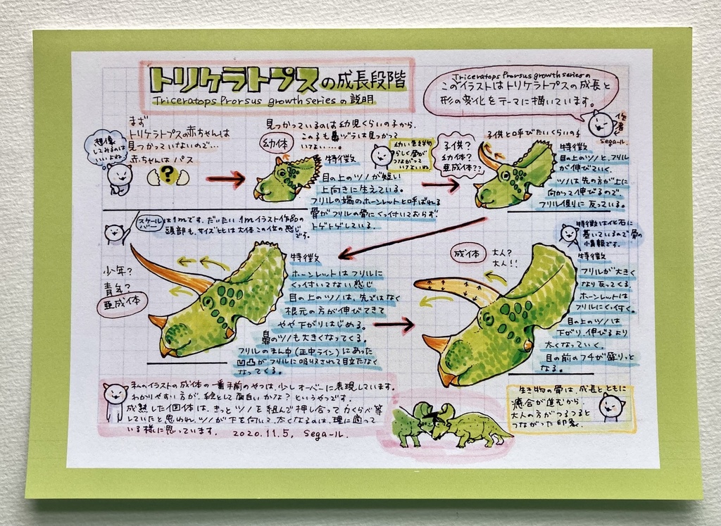 トリケラトプスピンバッジ