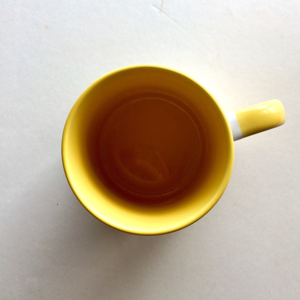 ギガントラプトル カラーマグカップ