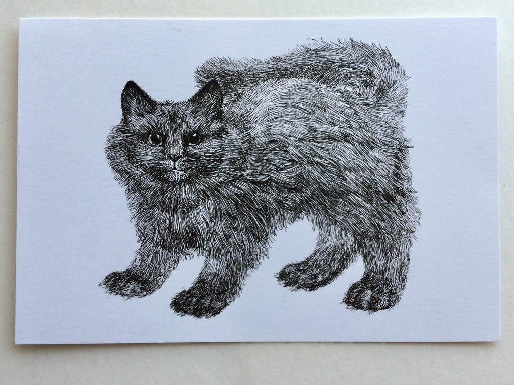 猫のボールペン画 - イラスト