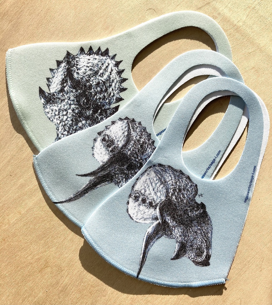 30%OFFセール!トリケラトプス抗菌マスク(おまけペーパー付き)