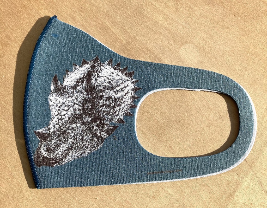 30%OFFセール!トリケラトプス抗菌マスク(おまけペーパー付き)