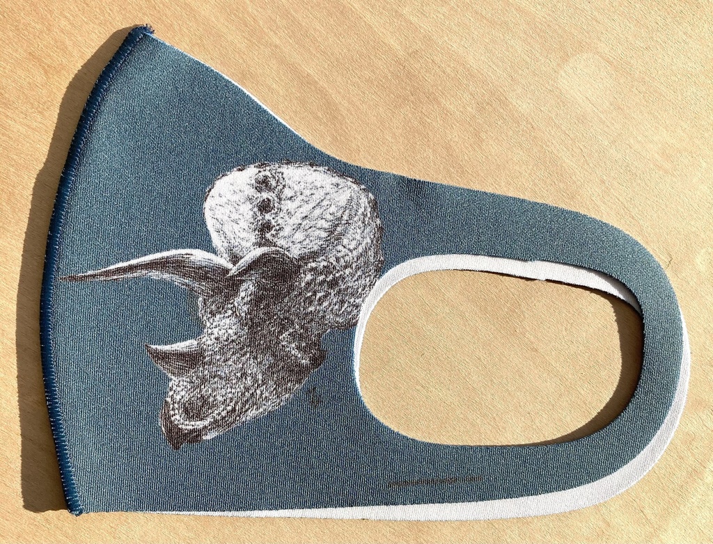 30%OFFセール!トリケラトプス抗菌マスク(おまけペーパー付き)