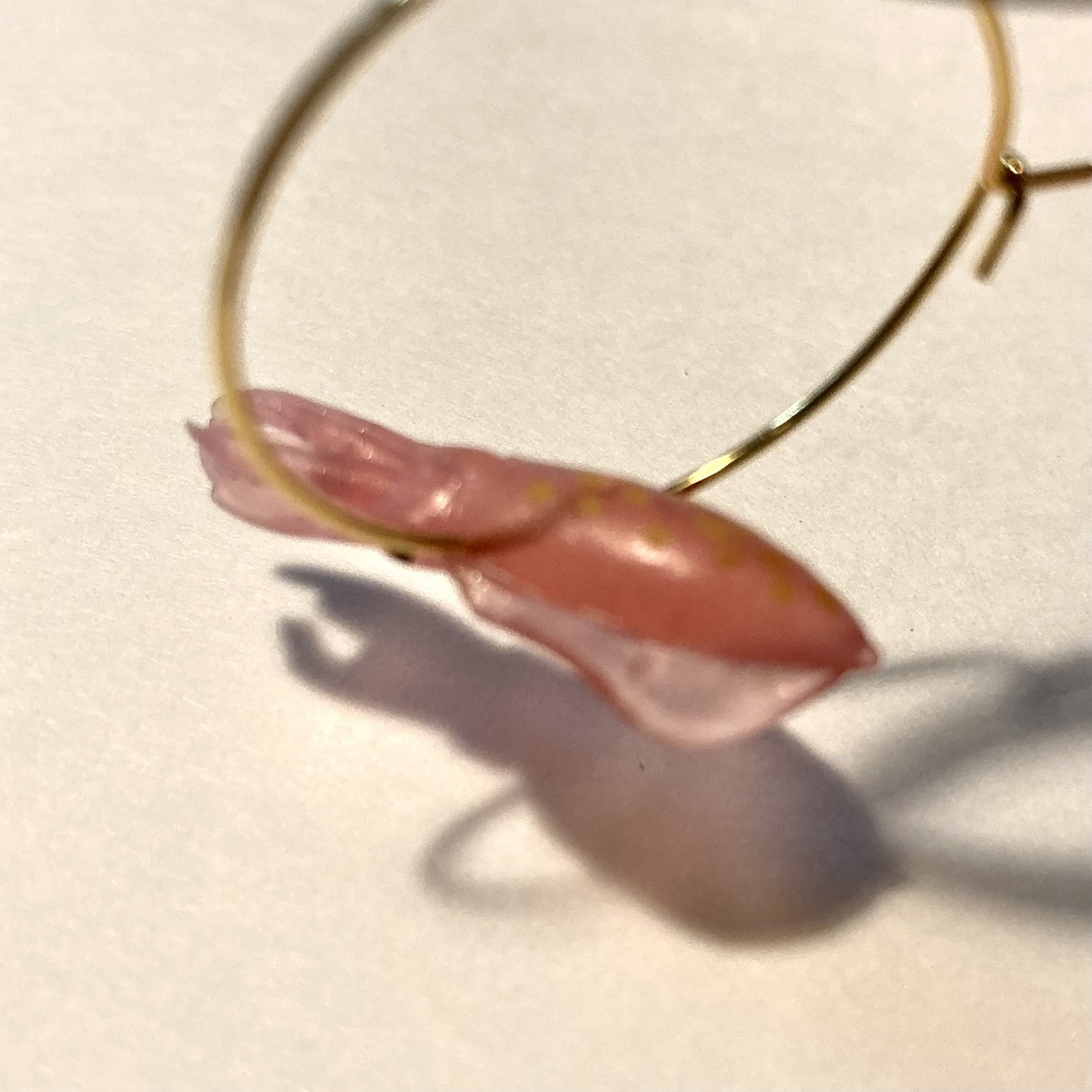 コウイカのピアス