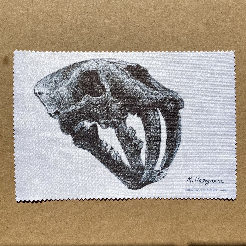 スミロドン メガネ拭き