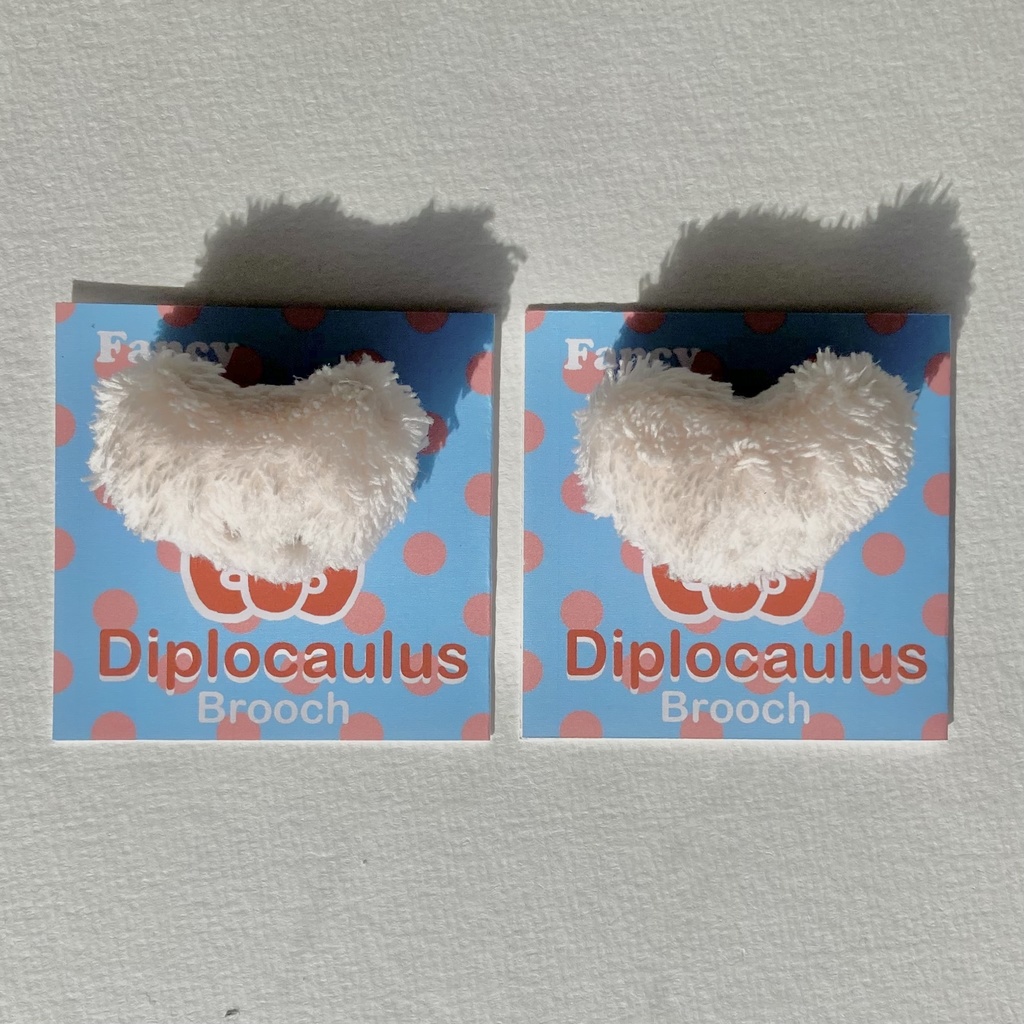 ファンシーディプロカウルスのふわふわブローチ(おまけペーパー付き)