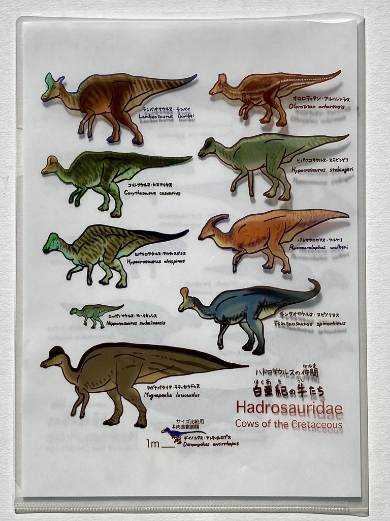 白亜紀の牛 A4クリアファイル (おまけペーパー付き)