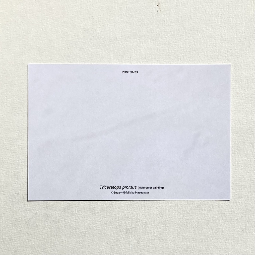 トリケラトプスポストカード