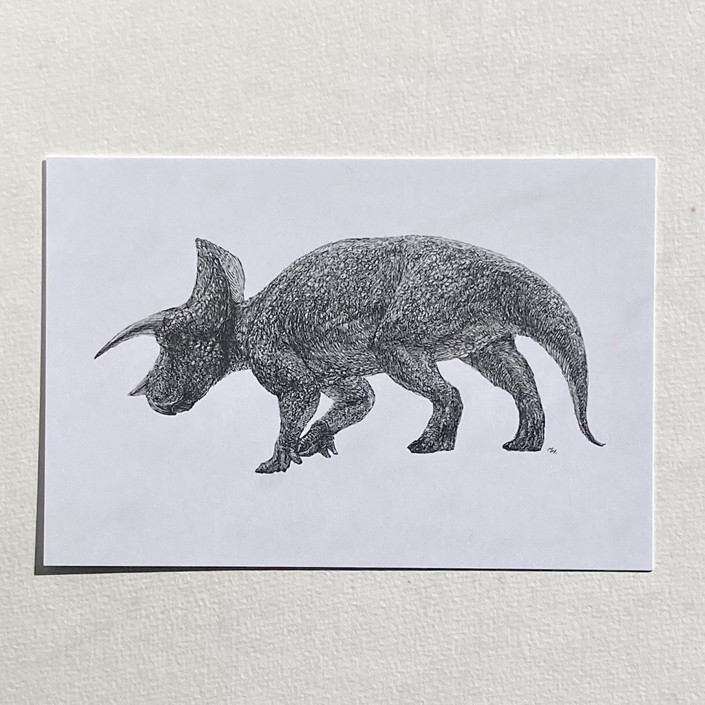 トリケラトプスポストカード