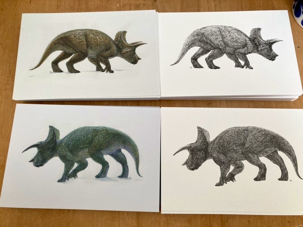 トリケラトプスポストカード