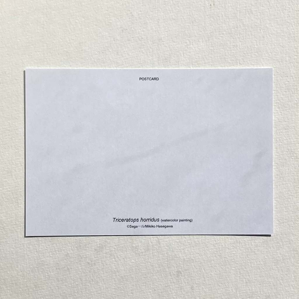 トリケラトプスポストカード