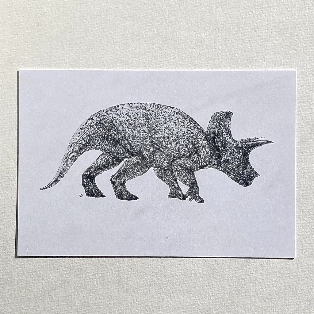 トリケラトプスポストカード