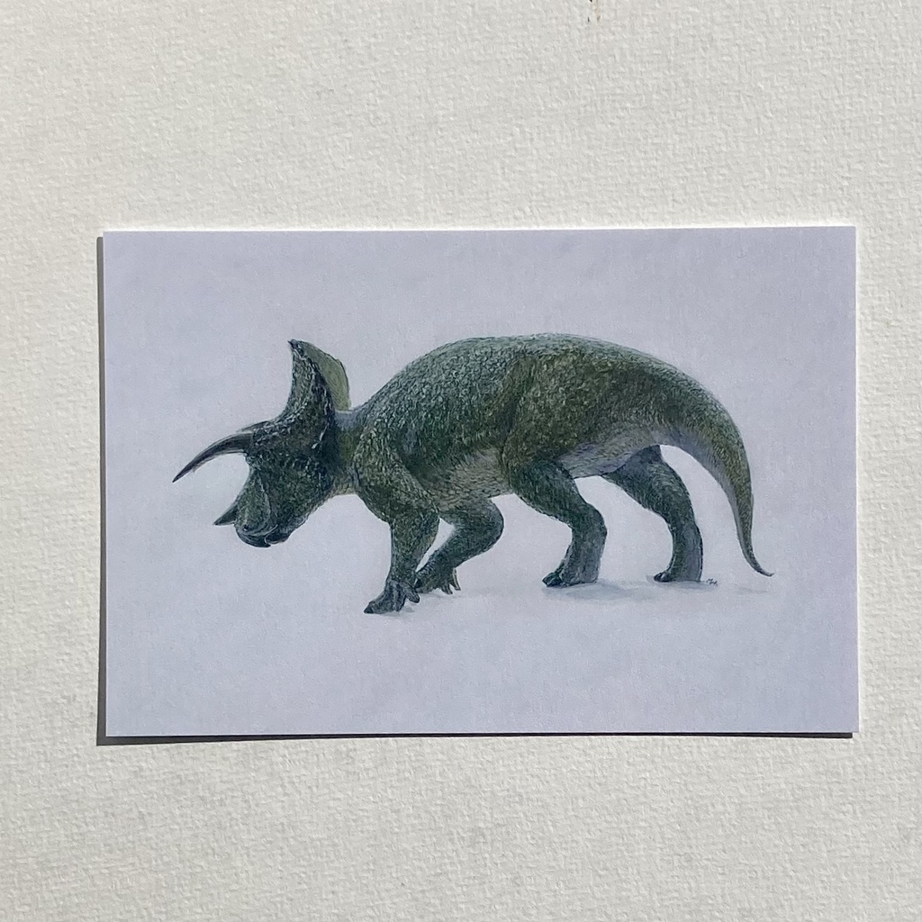 トリケラトプスポストカード