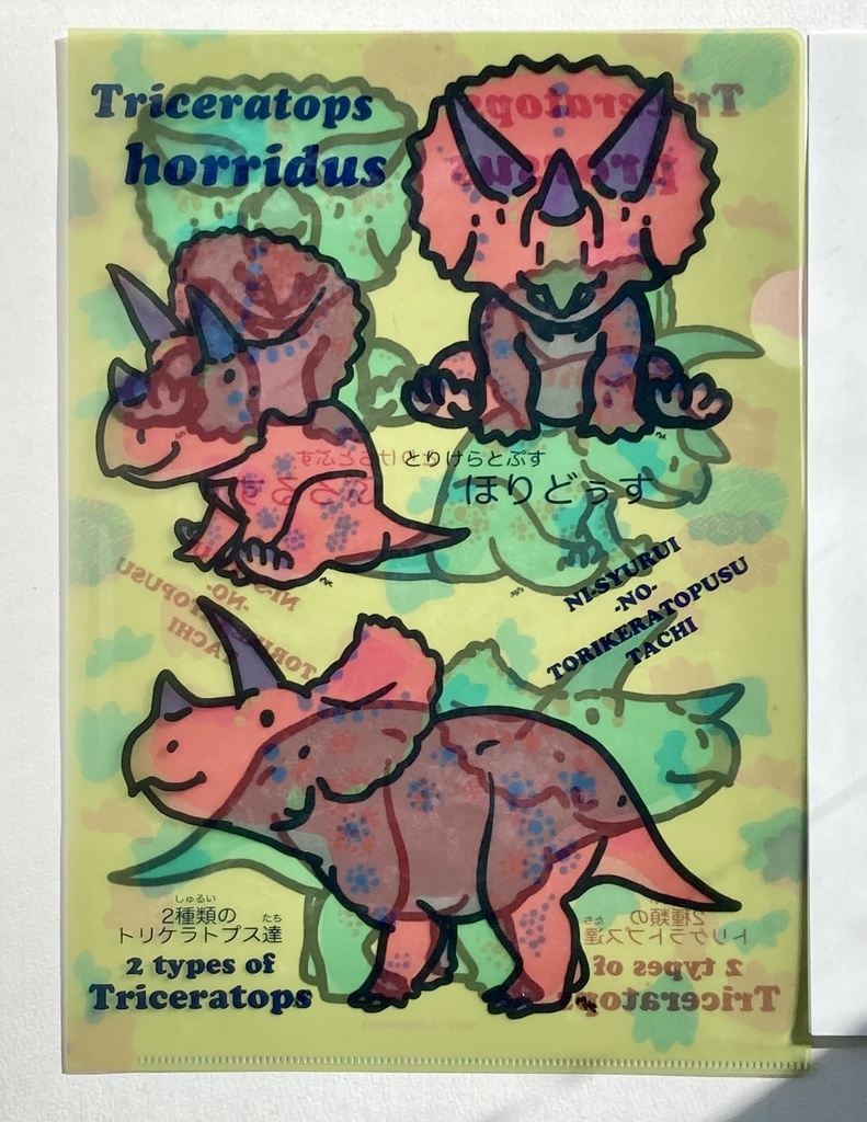 2種類のトリケラトプス(おまけペーパー付き)クリアファイル