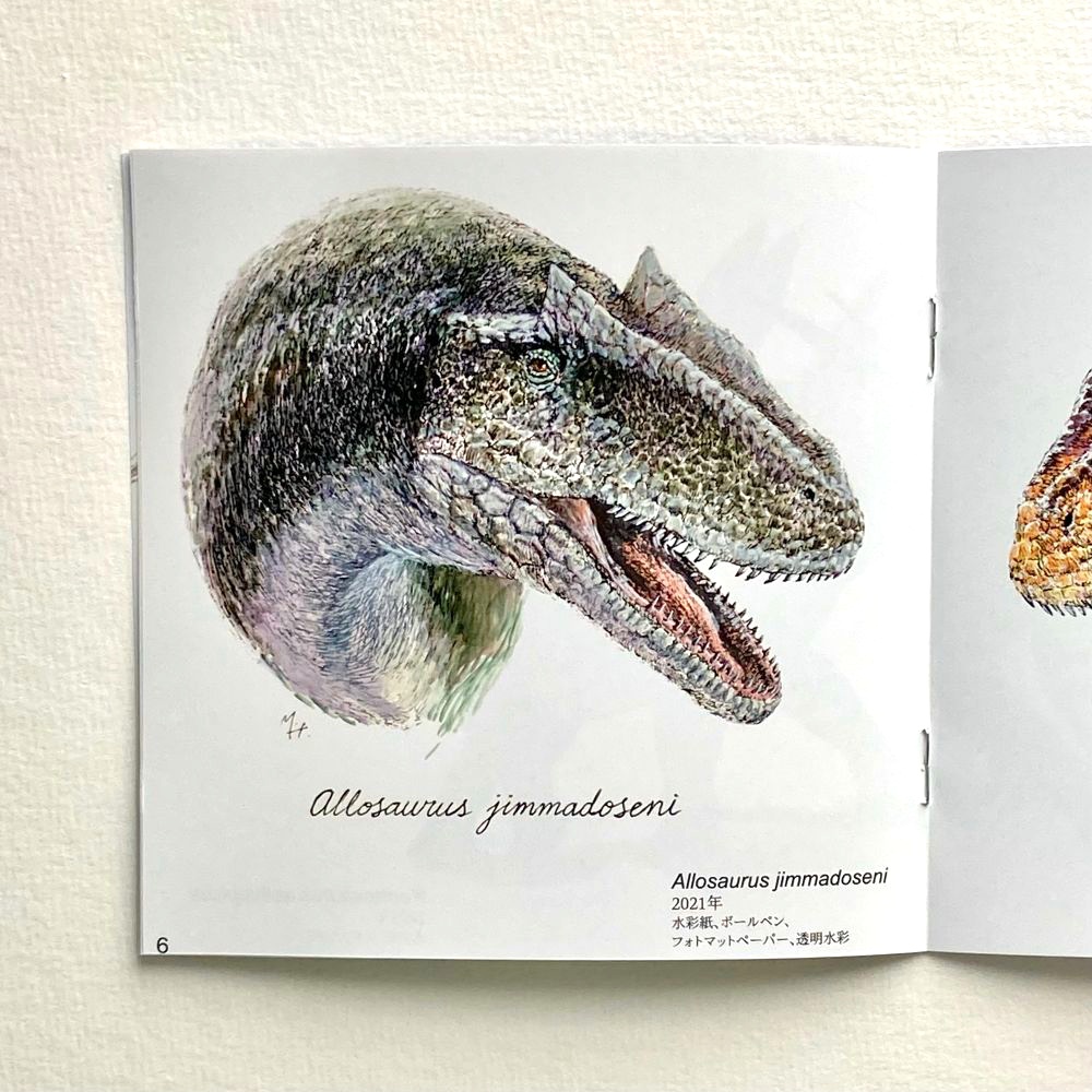 The works of segasworks