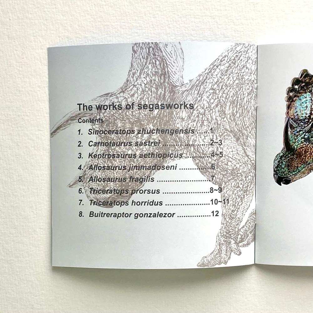 The works of segasworks