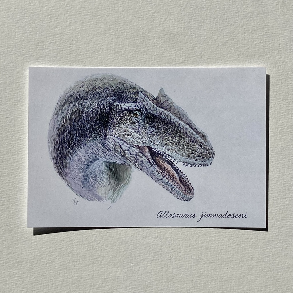 アロサウルス ポストカード