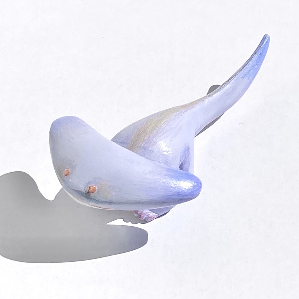 ファンシーディプロカウルス彫刻小作品