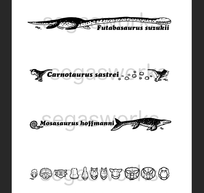 クリアケース入りランチスプーン