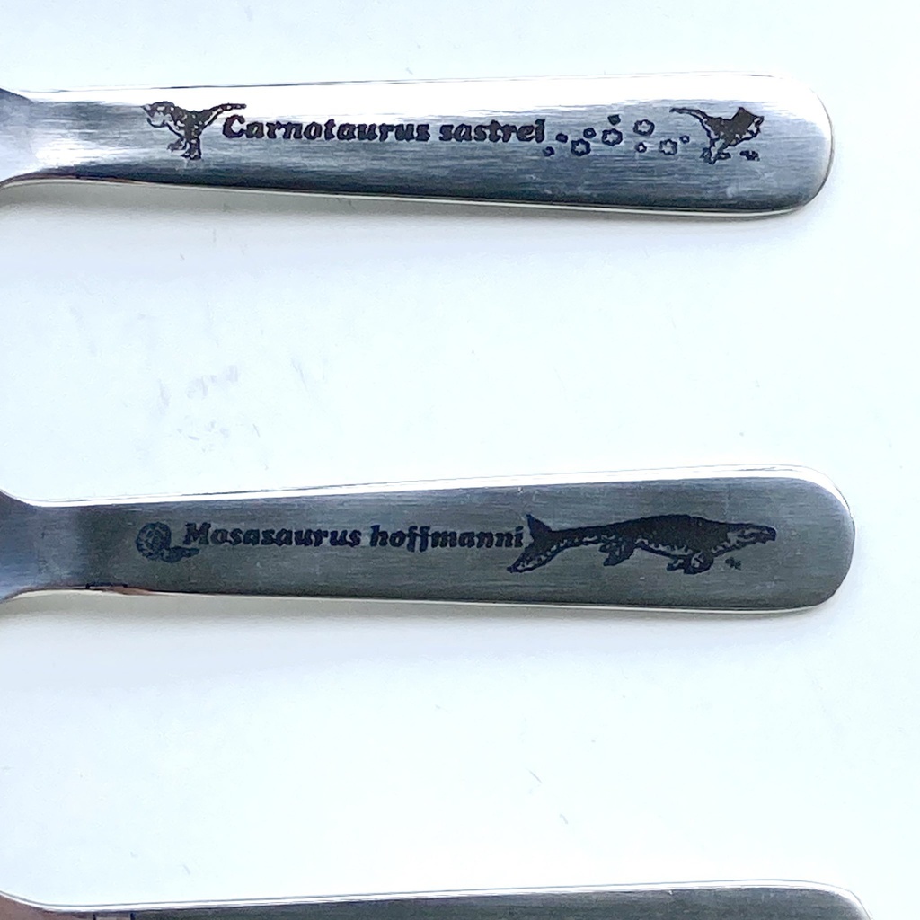 クリアケース入りランチスプーン