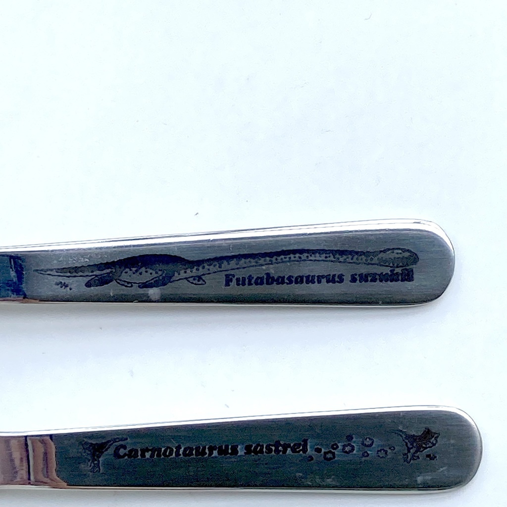 クリアケース入りランチスプーン