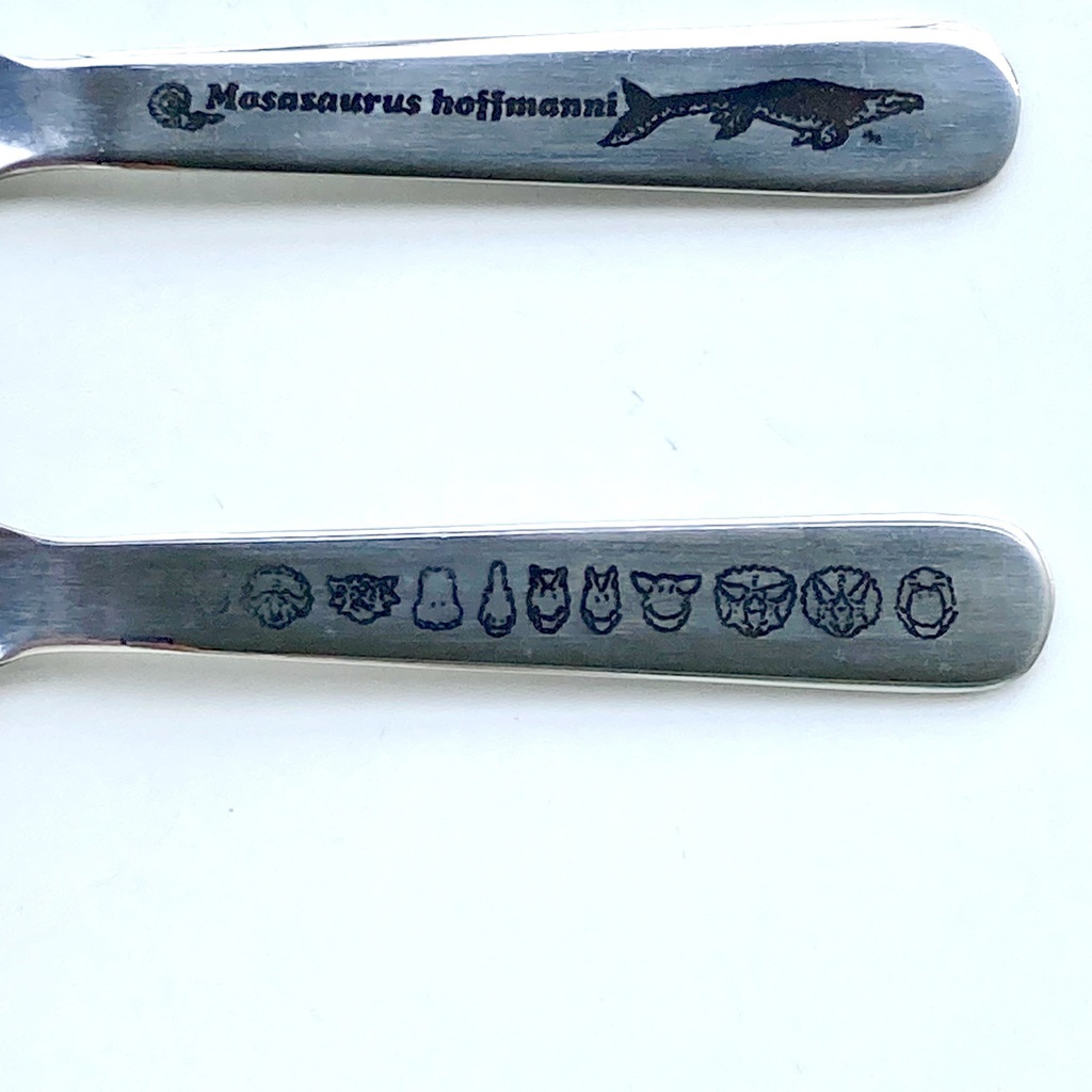 クリアケース入りランチスプーン