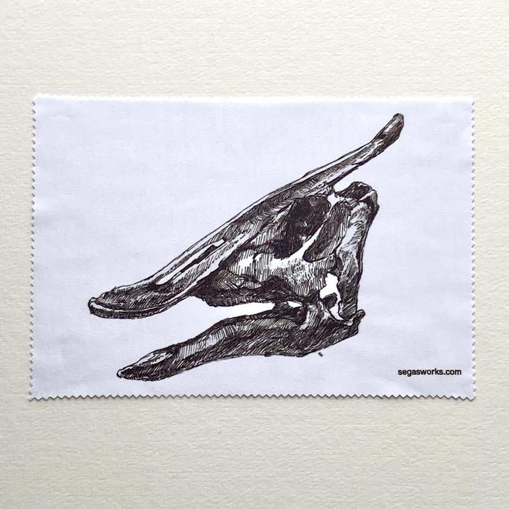 恐竜の頭骨イラストメガネ拭き