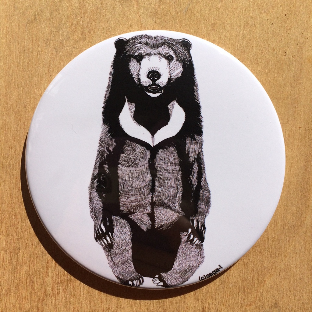 福袋(トラでも古生物でも無いもの)