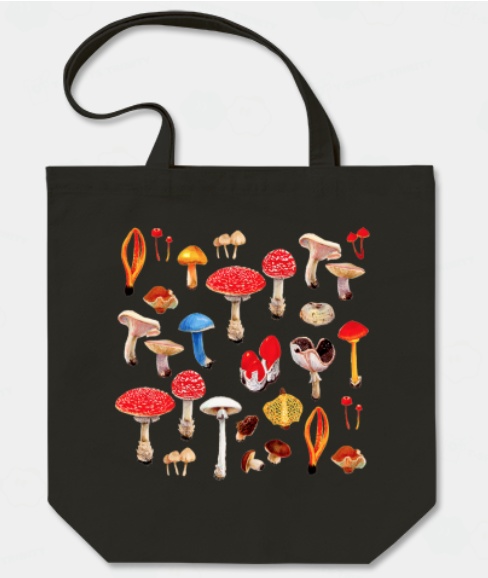 福袋（トラでも古生物でも無いもの）