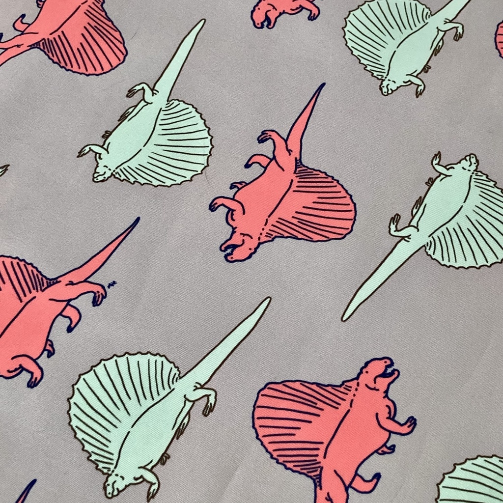 マチが広くてお弁当などの買い物向きのサブバッグ(ディメトロドン、エダフォサウルス)