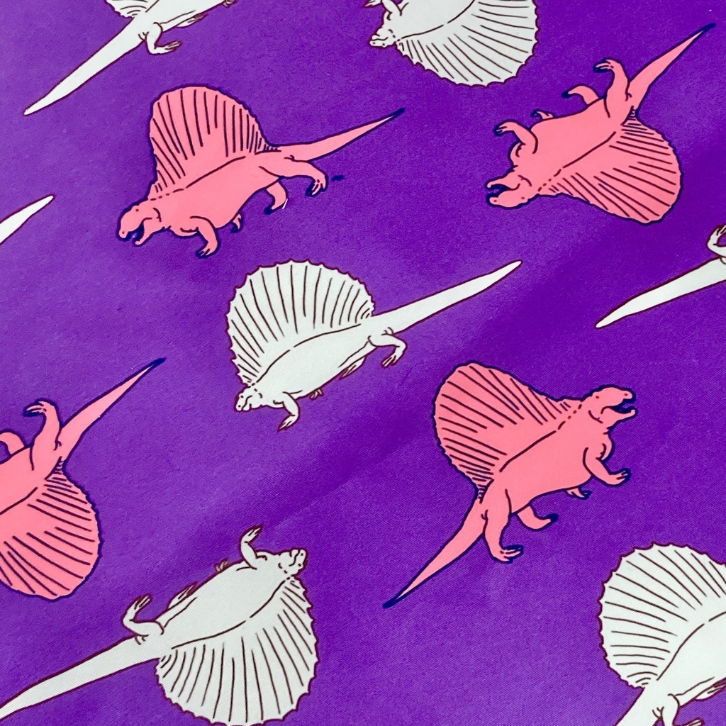 マチが広くてお弁当などの買い物向きのサブバッグ(ディメトロドン、エダフォサウルス)