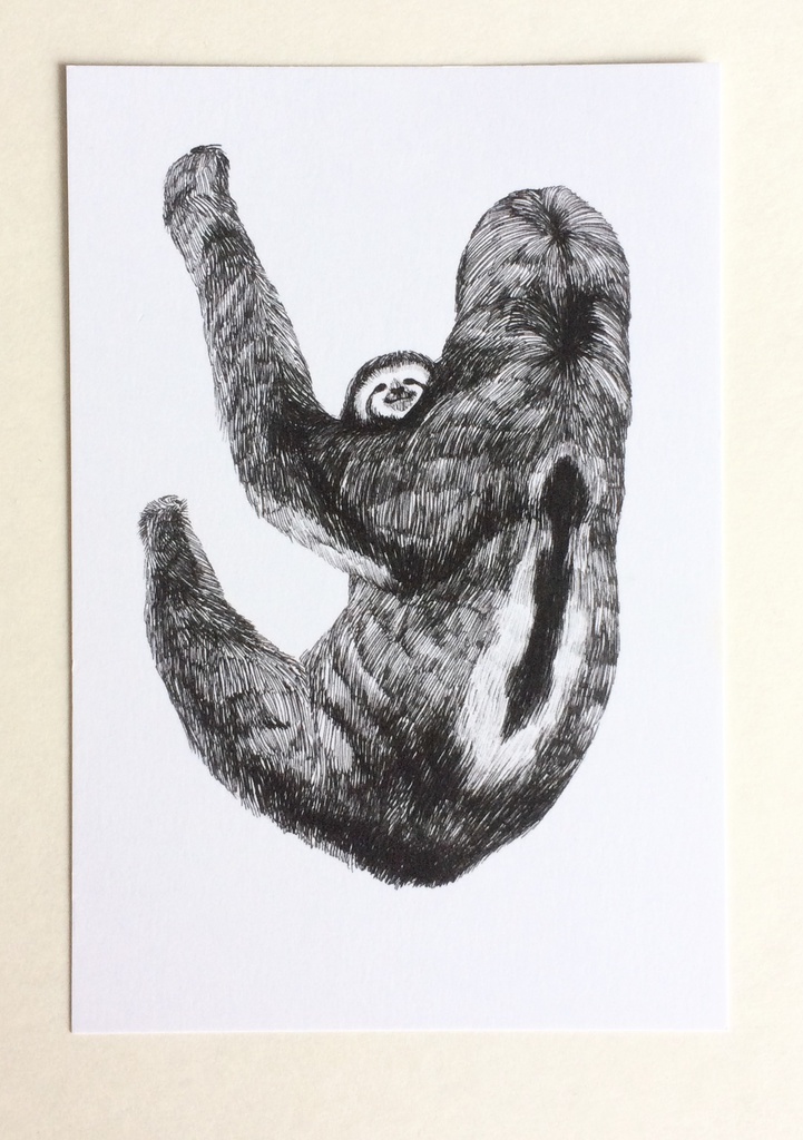 動物ペン画イラスト ポストカード