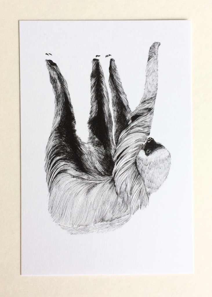 動物ペン画イラスト ポストカード