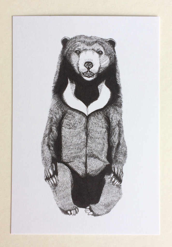動物ペン画イラスト ポストカード