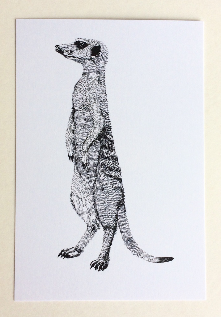 動物ペン画イラスト ポストカード