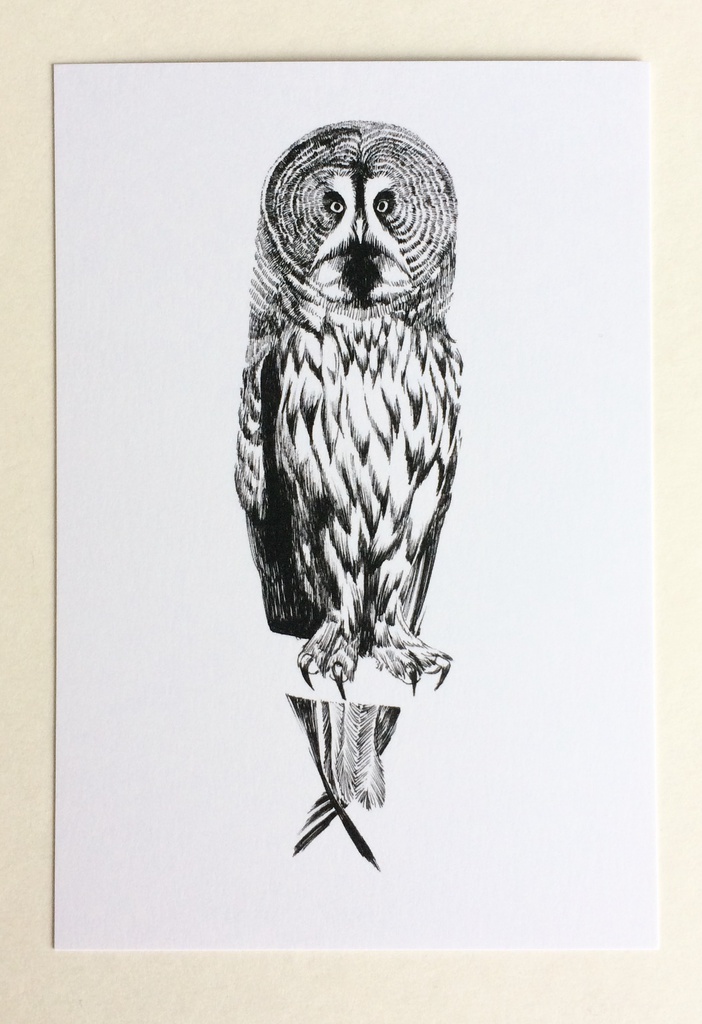 動物ペン画イラスト ポストカード