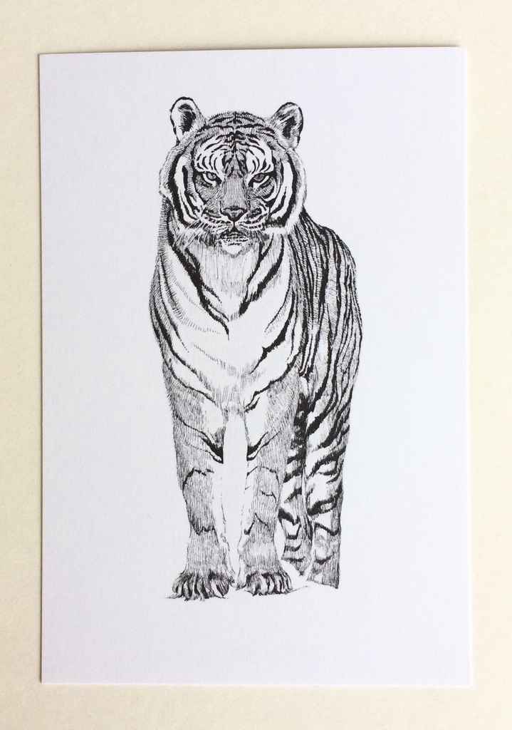 動物ペン画イラスト ポストカード