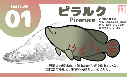 フィギュア ピラルク