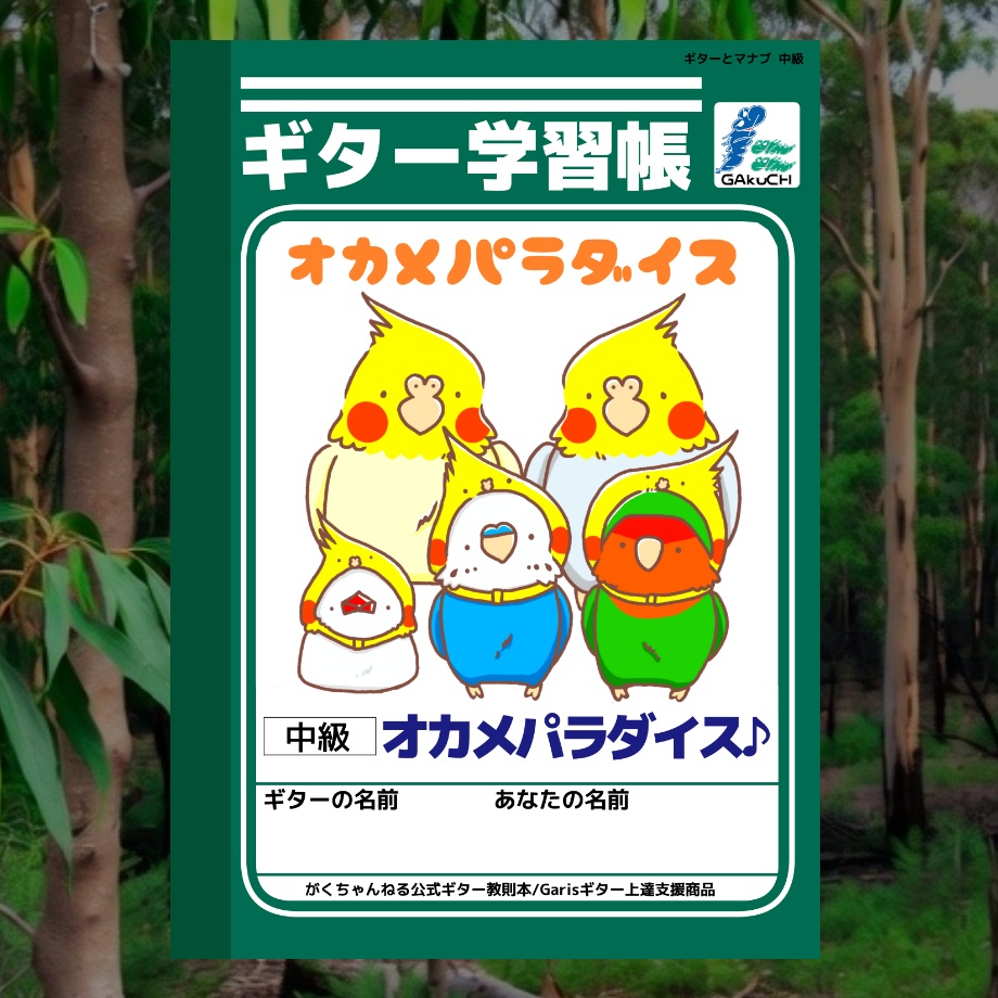 ギター学習帳「オカメパラダイス♪」ギターとマナブ