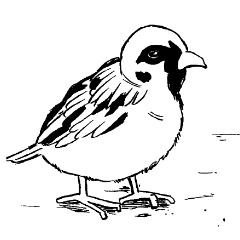 小道具/詰め合わせ①(41カット)